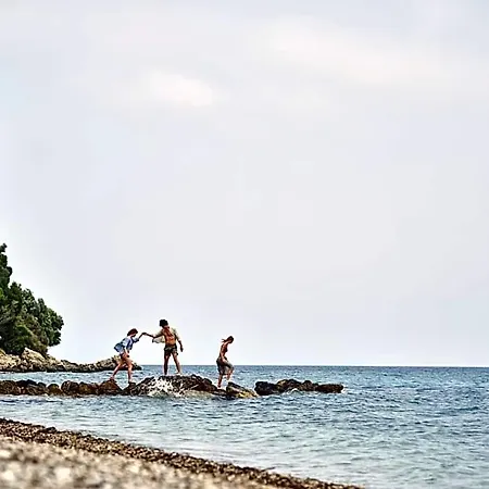 Avali, Mar-bella Collection Μεσογγή