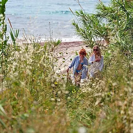 Avali, Mar-bella Collection Μεσογγή